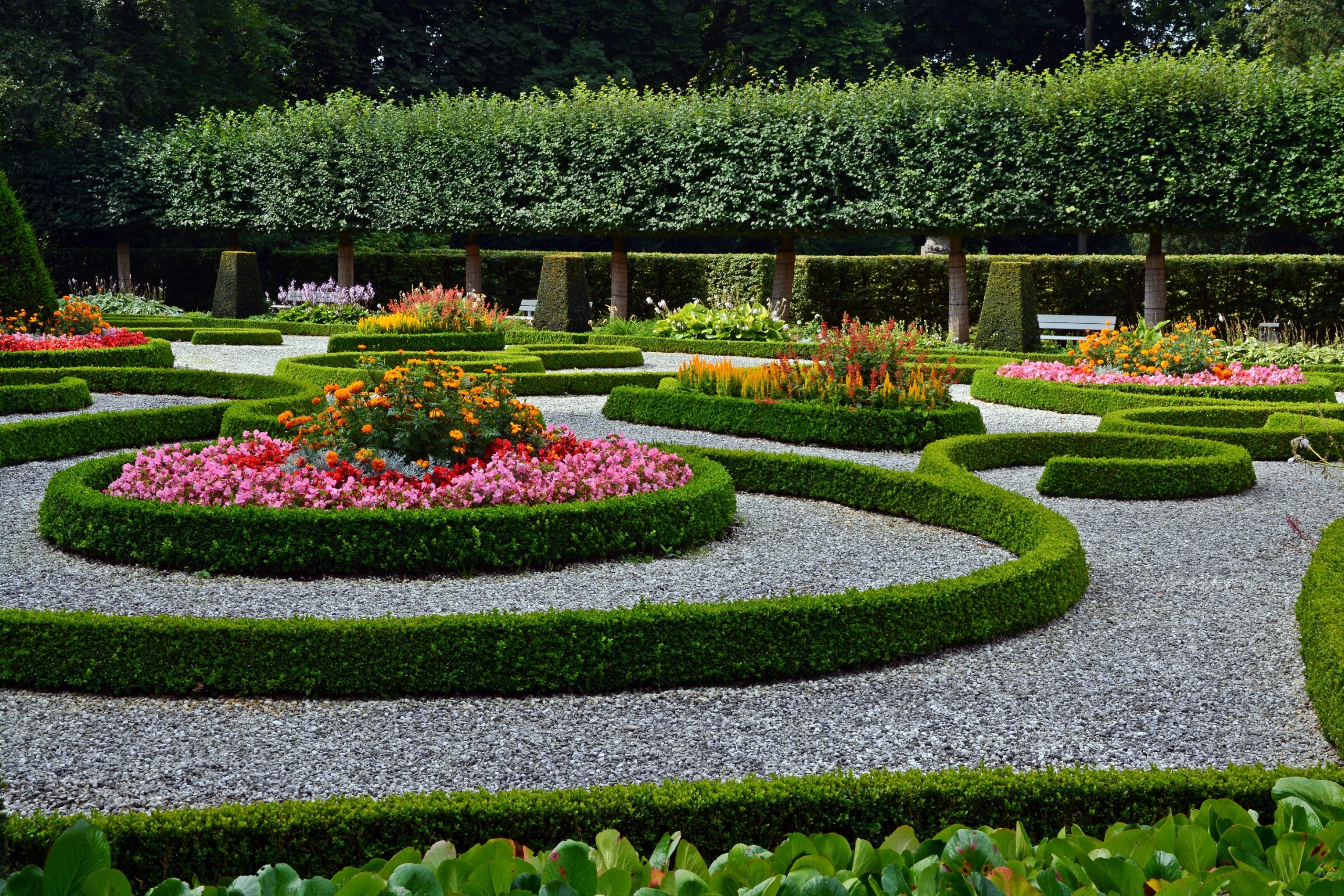 garden desing