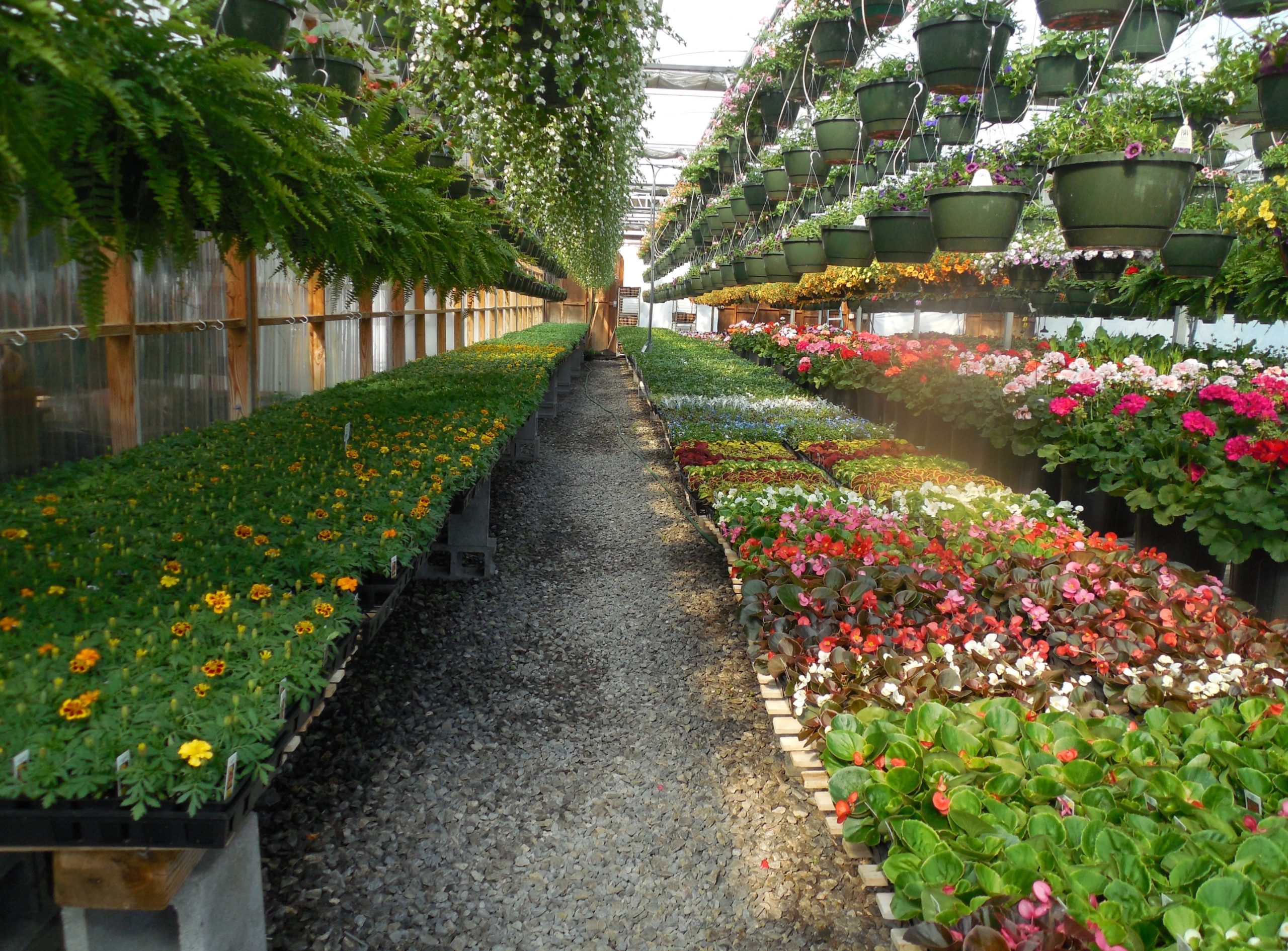 work-nature-growth-plant-lawn-house-884622-pxhere.com-ts1530234113 work-nature-growth-plant-lawn-house-884622-pxhere.com-ts1530234113